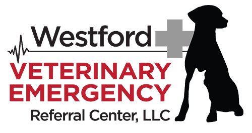Westford Veterinary Emergency Referral Center